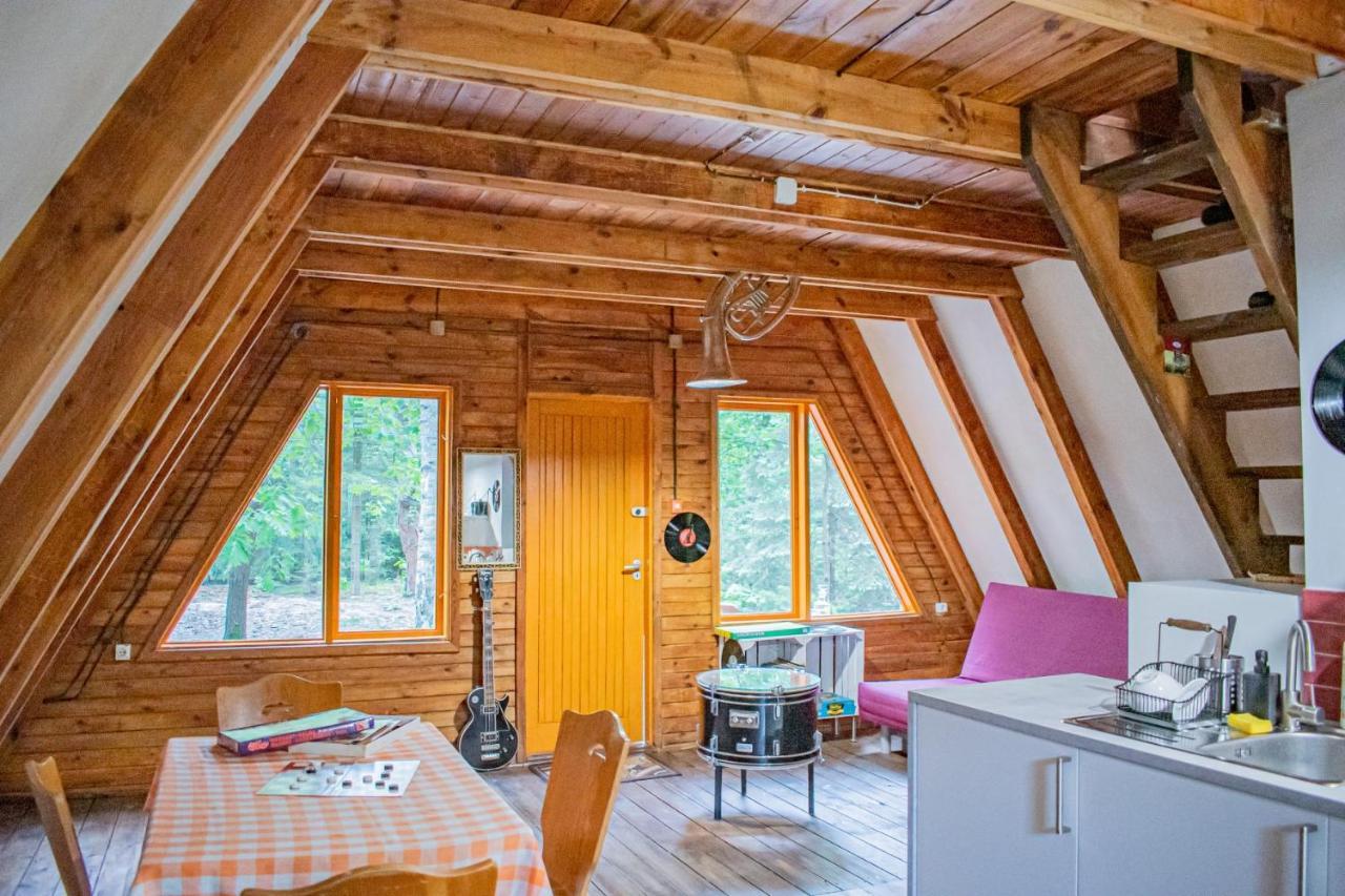 Domki W Wildze Skurcza Exterior photo